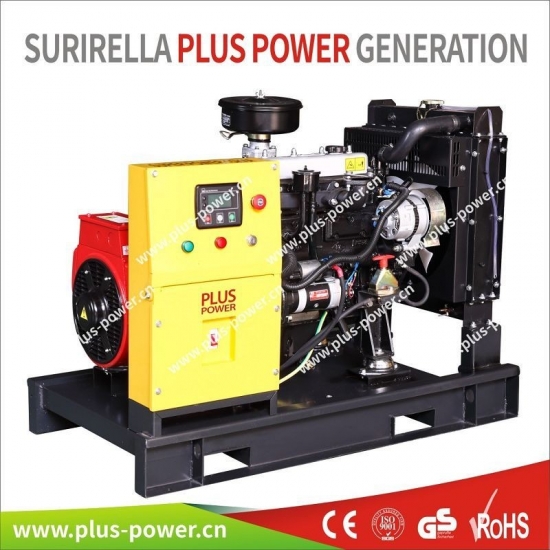 Ricardo Diesel Generator Set