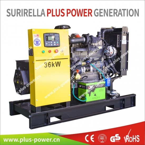 Ricardo Diesel Generator Set